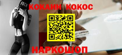 сатива Новозыбков