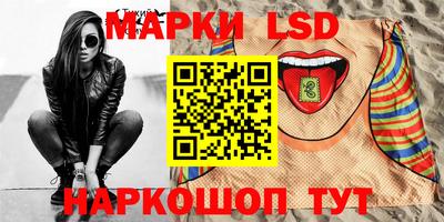 сатива Новозыбков