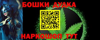 сатива Новозыбков