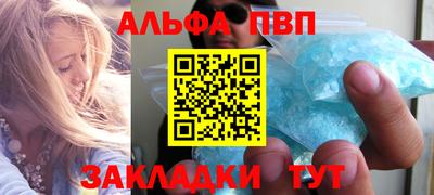 сатива Новозыбков
