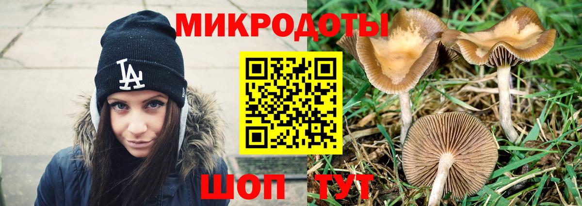 Псилоцибиновые грибы Cubensis  Вход с VPN  Псилоцибиновые грибы Psilocybe  Углич 