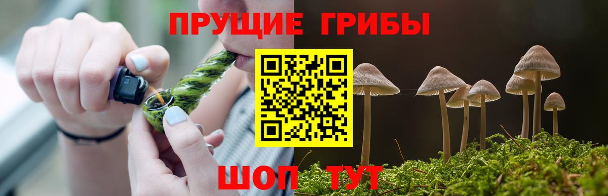 Галлюциногенные грибы мицелий Углич